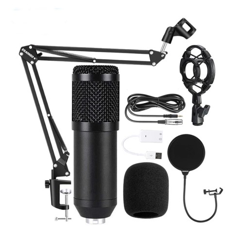 Microphone complet avec support